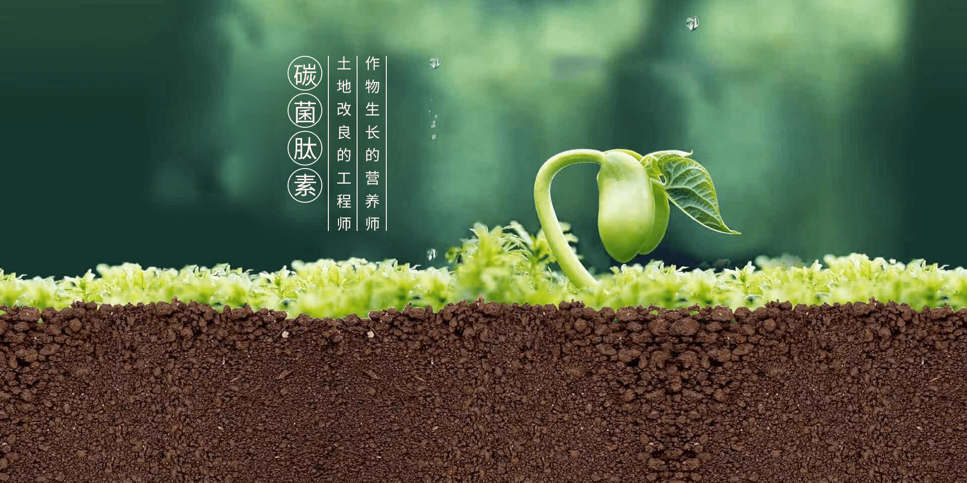 生物有機(jī)肥