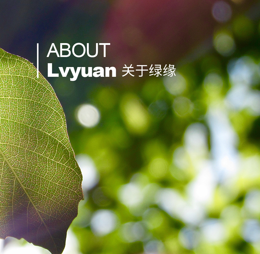 �Ϻ��G����Ԫ������Ƽ����޹�˾