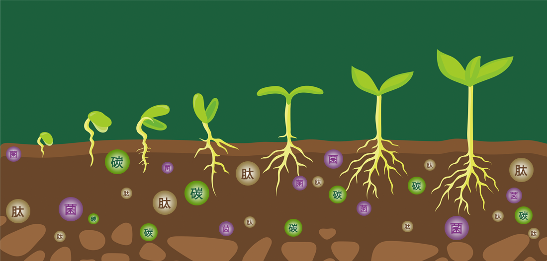 ̼������