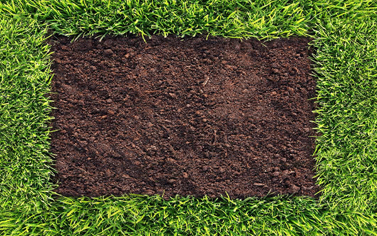 ���������|��