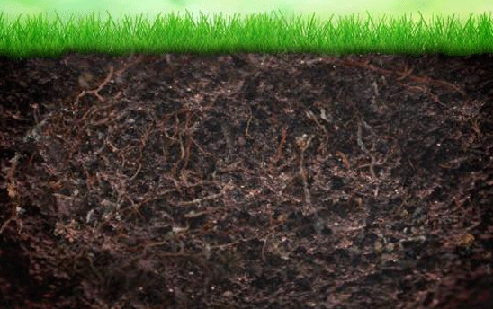 ���������Y��