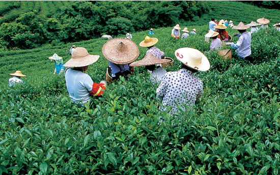 ������������