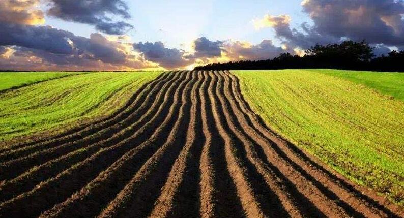 �����ЙC(j��)�ʵİl(f��)չ�F(xi��n)�չ��