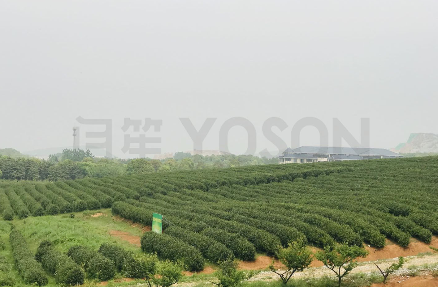 �㽭���d���ݴ�