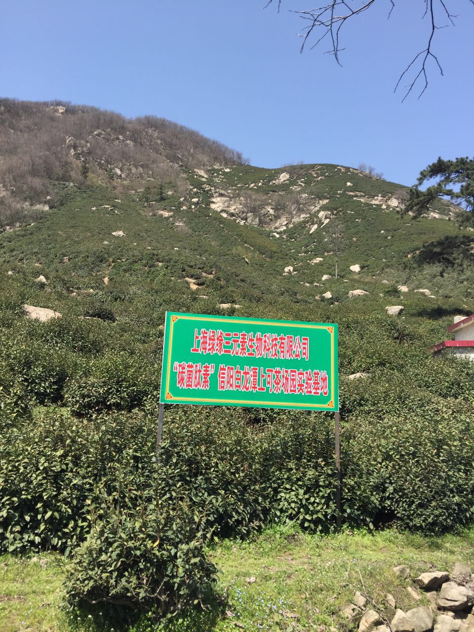 ��ꖰ���̶�Ͽɲ�@