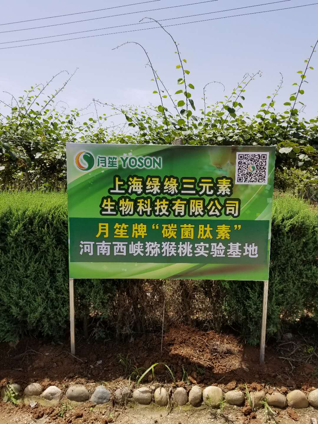 �������{�J����̼�������ЙC�ʌ�����