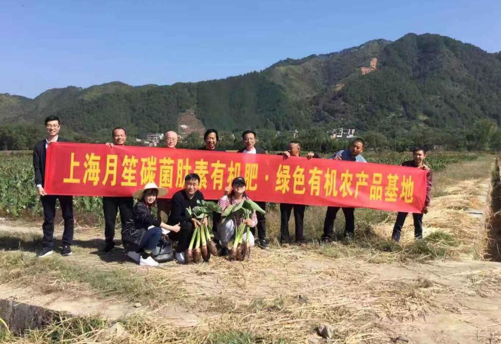 �V���R�����^̼�������ЙC(j��)�ʷNֲ����