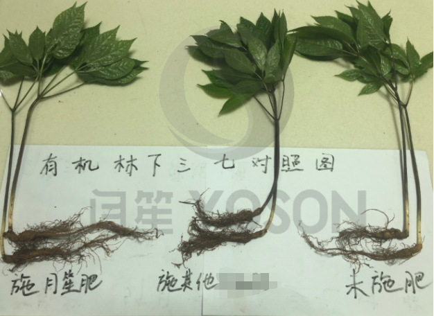 ̼�������ЙC��