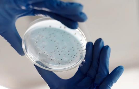 ΢������ϵĹ�Ч����ηֱ���٣�